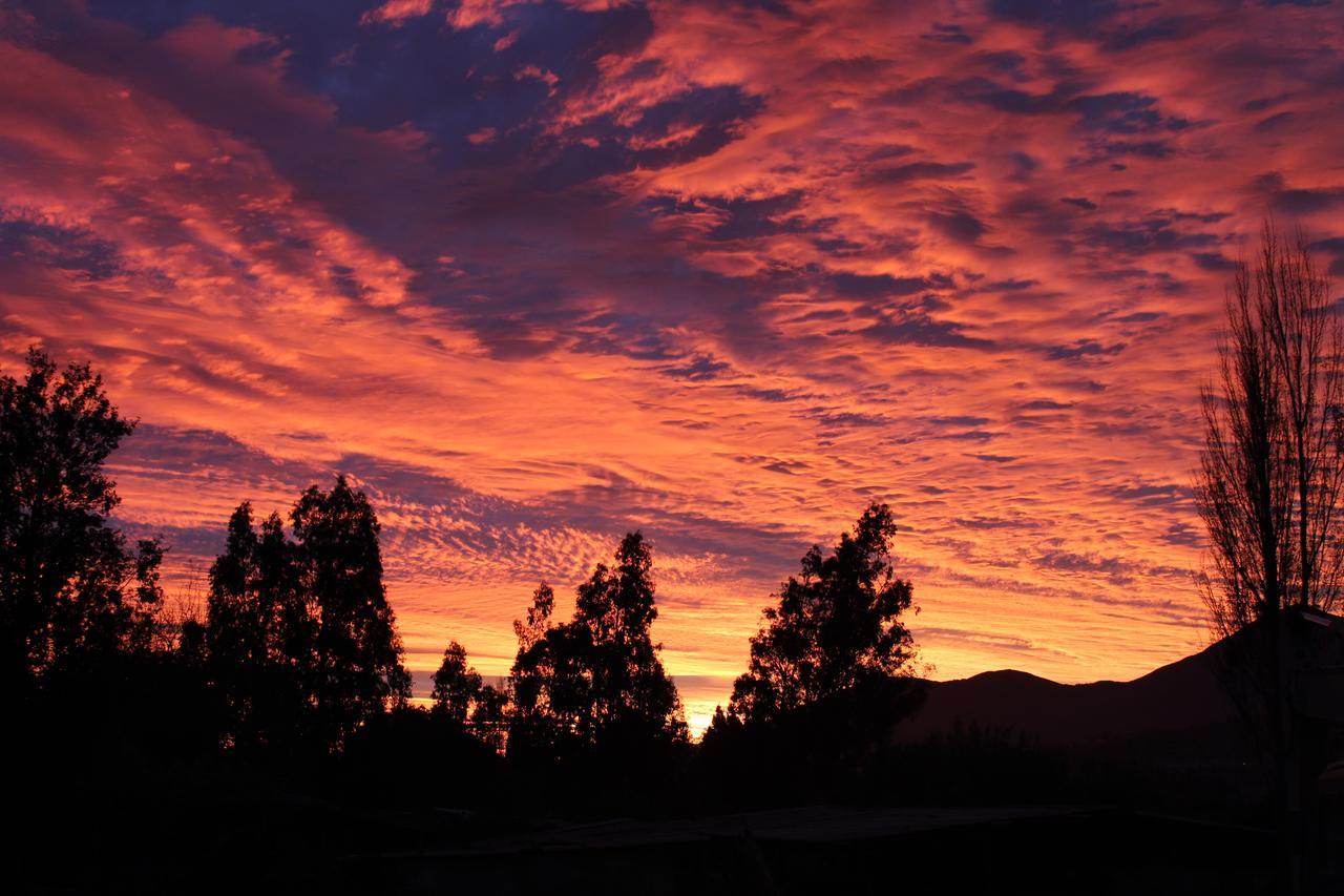 Hospedajes Tabolango Quillota Esterno foto